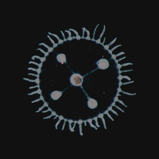 ''