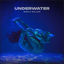 Cover Underwater