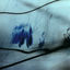 Cover Wounds