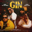 Cover Na Onda do Gin
