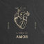Cover A Força do Amor