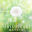 Cover AMBASSADOR