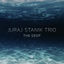 Cover The Deep