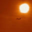 Cover Big Jet Plane