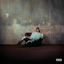 Cover fango