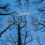 Cover Unter meiner Haut