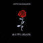 Cover beautiful disaster