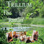 Cover The Rattlin' Bog