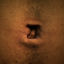 Cover Voyager