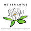 Cover Weißer Lotus - Musiktherapie und Entspannungsmusik