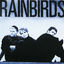 Cover Rainbirds