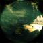 Cover Random Friday