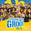 Cover Afrikaans is Groot Vol. 15