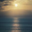 Cover Same Sun