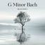 Cover G Minor Bach (from "Piano Tiles 2") (Sad & Emotional Piano Version)