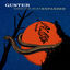 Cover Ganging Up On the Sun (Expanded)