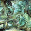 Cover Ancient Fairy