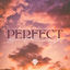 Cover Perfect Sky