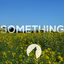Cover Something
