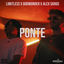 Cover Ponte