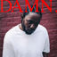 Cover DAMN.