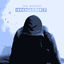 Cover Irreplaceable