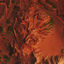 Cover Douha (Mali Mali)