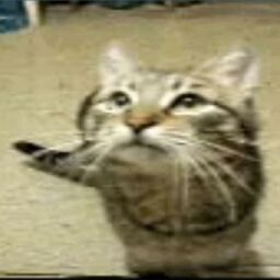 ''