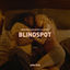 Cover Blindspot