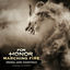Cover For Honor: Marching Fire (Original Game Soundtrack)