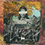 Cover ivy