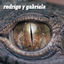 Cover Rodrigo Y Gabriela