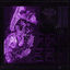 Cover Duskva003 (Dawn Edition)