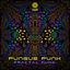 Cover Fractal Funk