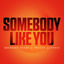 Cover Somebody Like You