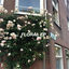 Cover Floral EP