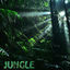 Cover Jungle (feat. Linus Villa)