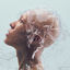 Cover New Gravity