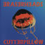 Cover Cutterpillow