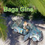 Cover Baga Gine