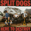 Cover Here To Destroy