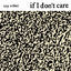 Cover If I Don't Care
