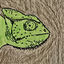Cover The Chameleon