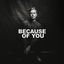 Cover Because of You