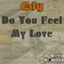 Cover Do You Feel My Love