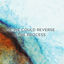 Cover If We Could Reverse the Process