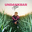 Cover Undankbar