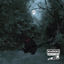 Cover A Dark Fall: The Midnight Sequence
