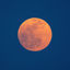 Cover Red moon