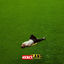 Cover MERCYLAND